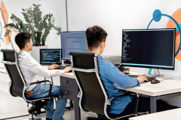 Custom-Web-App-Development